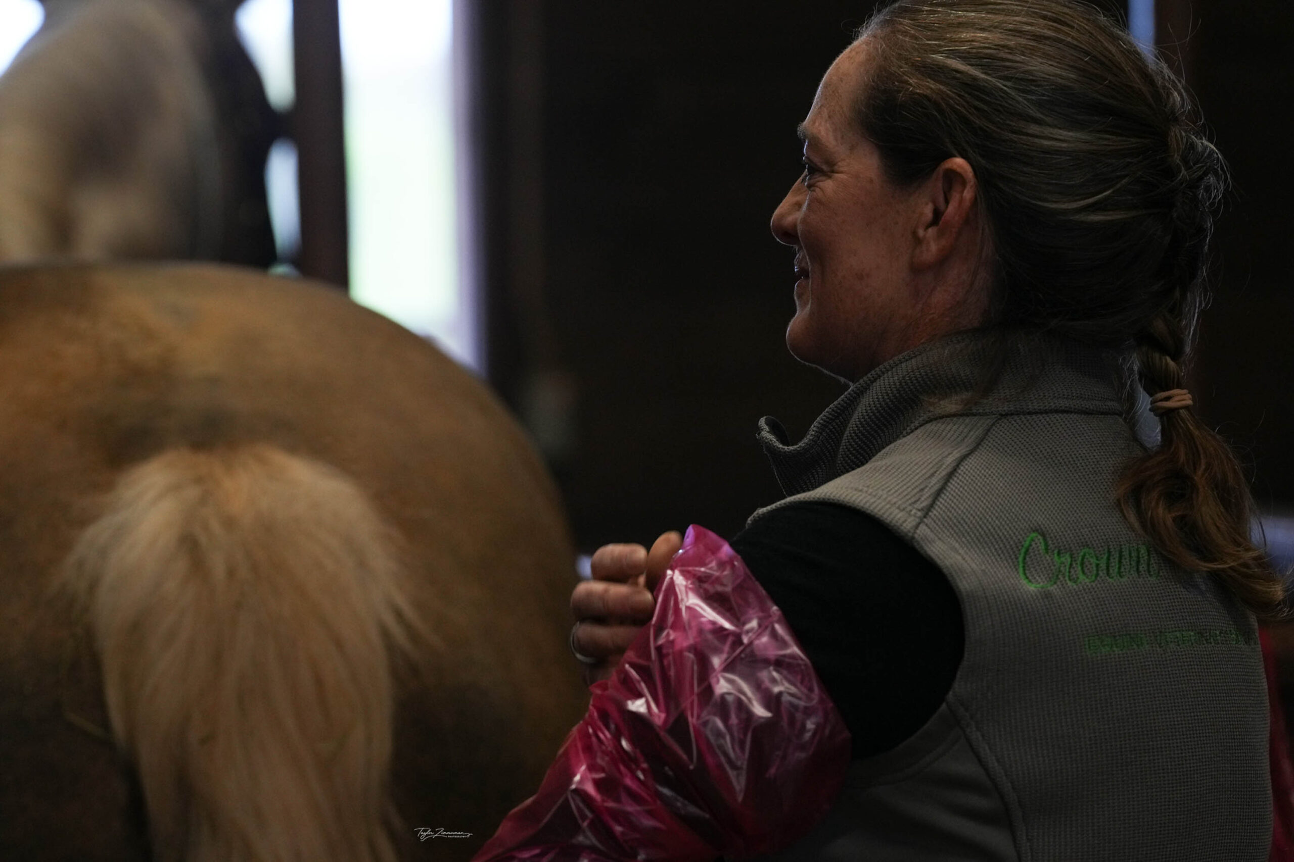 Dr. Bridget Heilsberg working with a mare at Cedar Ridge Stallion Station