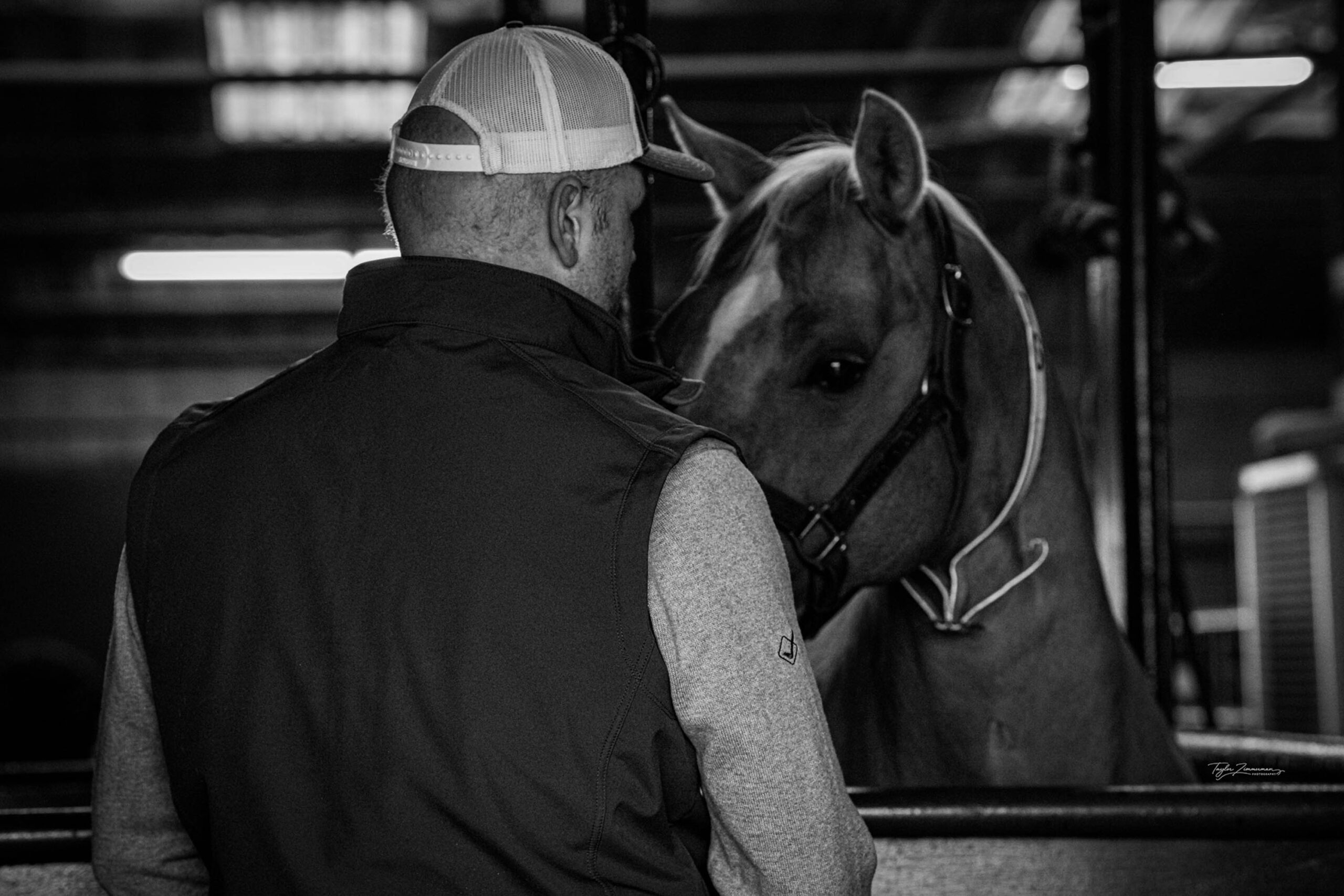 Full service at Cedar Ridge Stallion Station