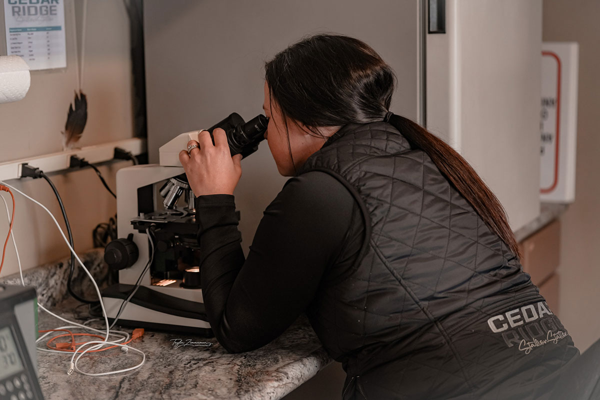 Kelsey Crawley in the breeding lab