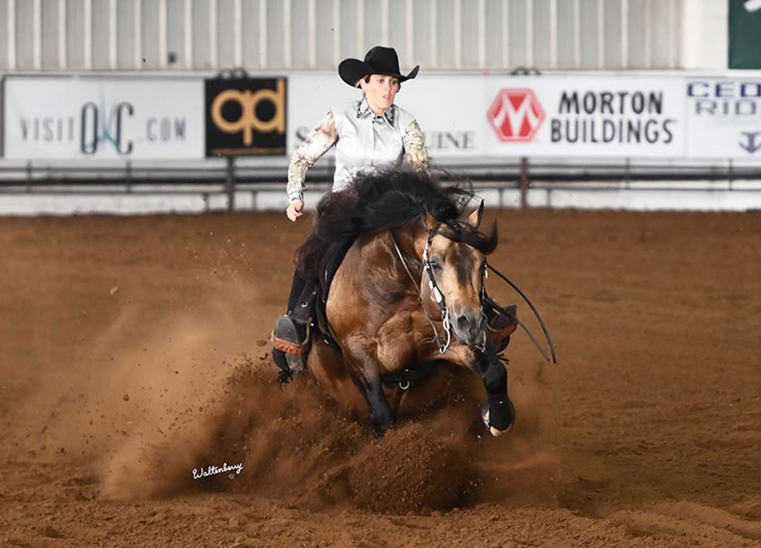 DC The Master Spark in the show pen