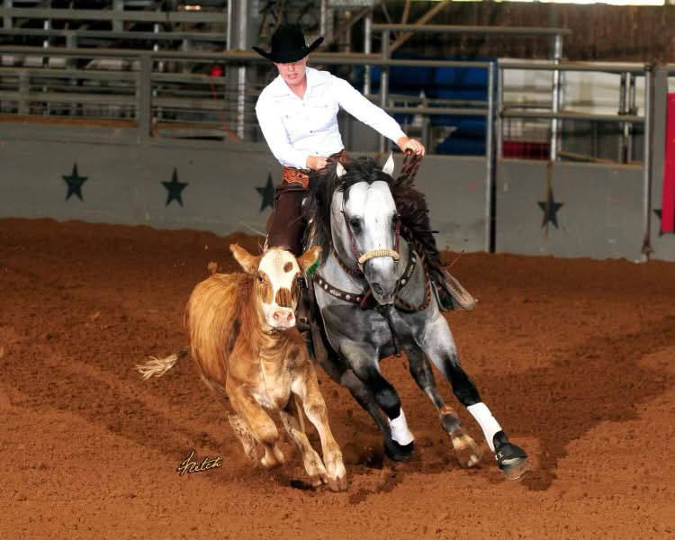 Julgun in the show pen